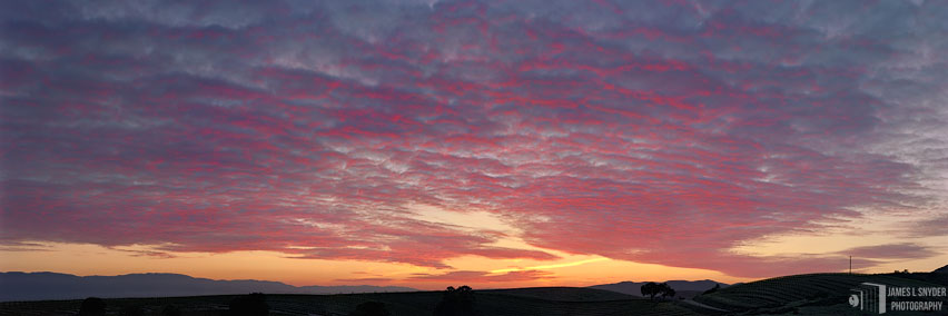 Sunset over Rolling Vineyard