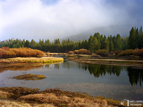 Tuolumne River, Autumn Flurry