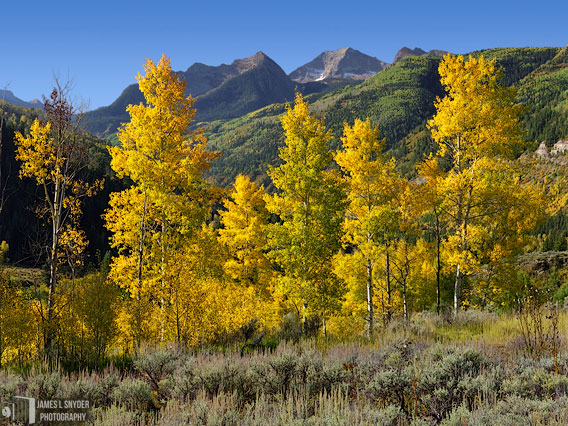 Lemon Aspens and Chair Mountain