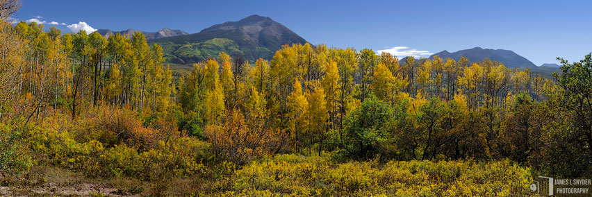 Golden Aspens, West Beckwith Peak