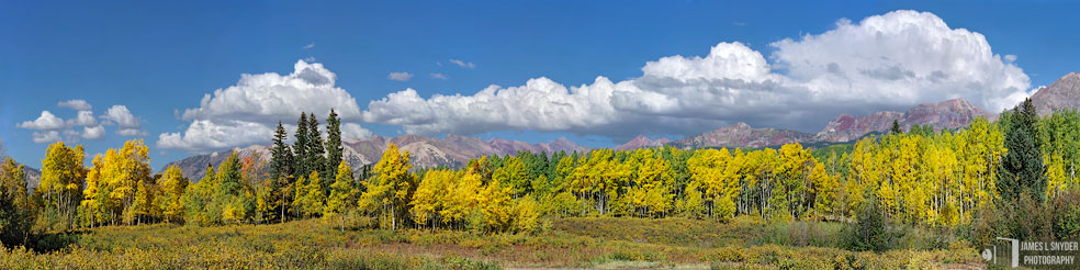 Golden Aspens, Ruby Range