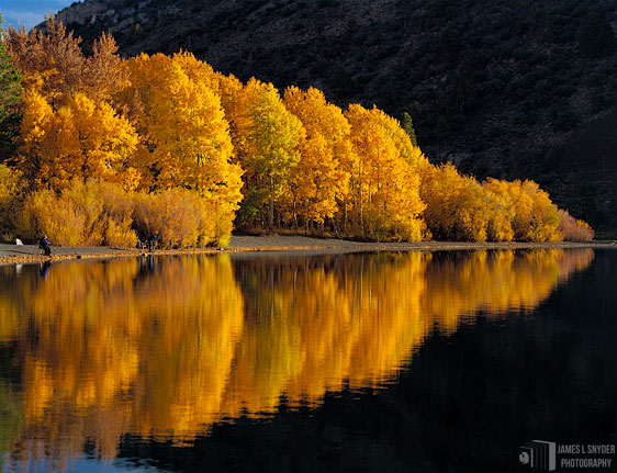 Narcissus at Silver Lake, Autumn