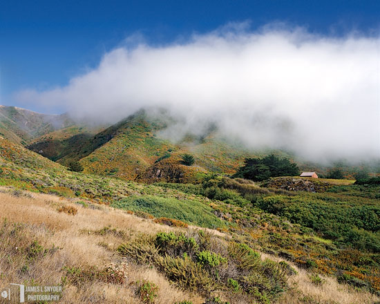 Soberanes Canyon