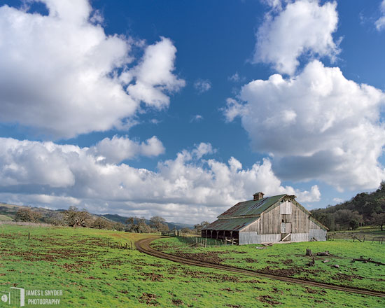 The White Barn