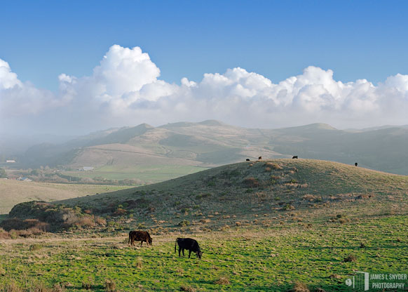 For the Beauty of the Earth