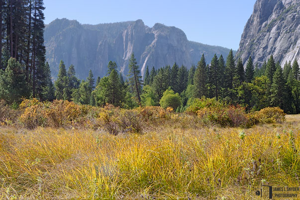 Autumn Meadow