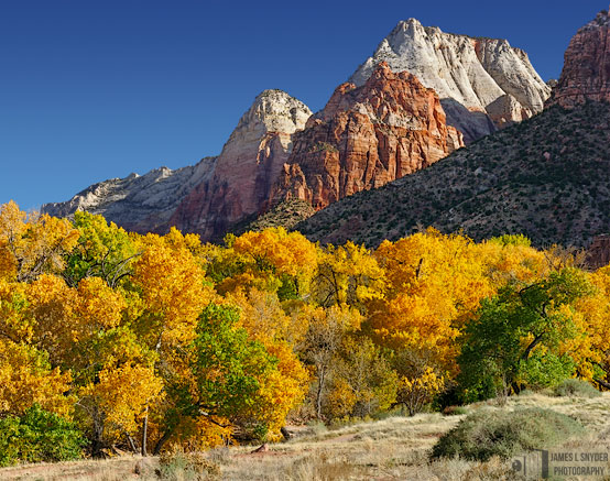 Zion Autumn Morning