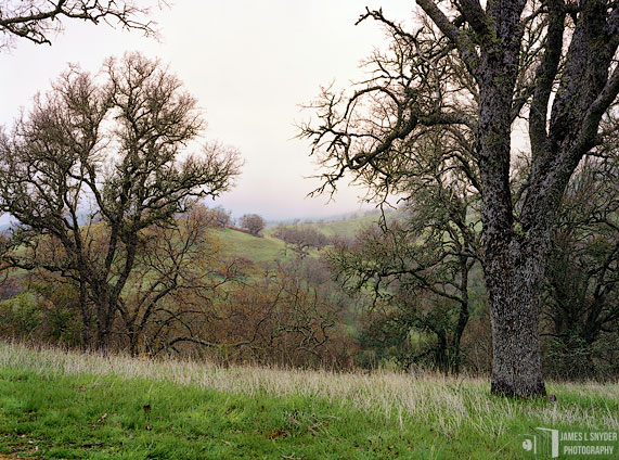 Vignette of Distant Hills at Dusk
