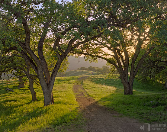 The Long and Winding Road