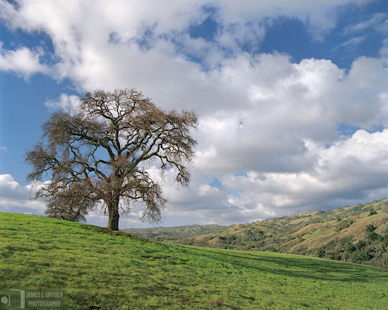 Amid the Earth and Sky