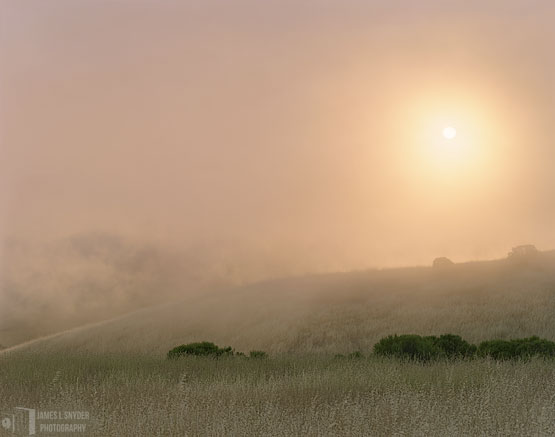 Foggy Sunset Over Grassy Hills