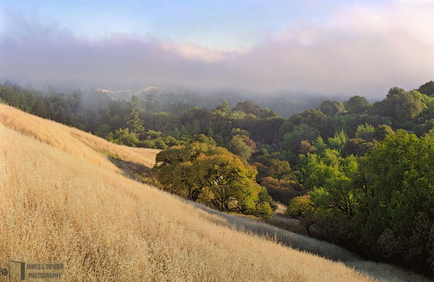 Buckeye Hill