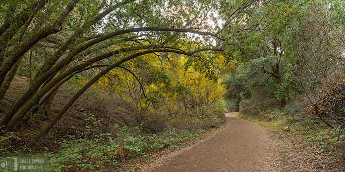Country Trail