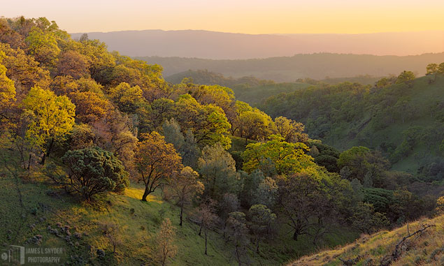 Ridge, Late Winter Sunset