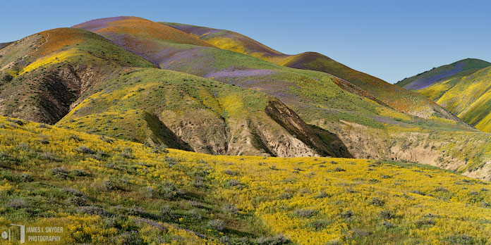 Painted Hills