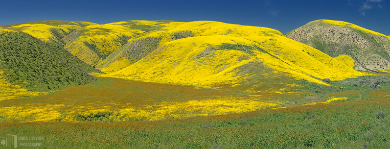 Yellow Hills