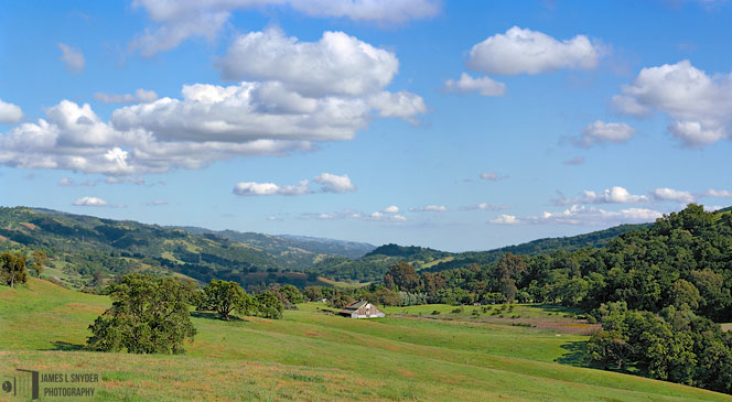 Springtime in Halls Valley
