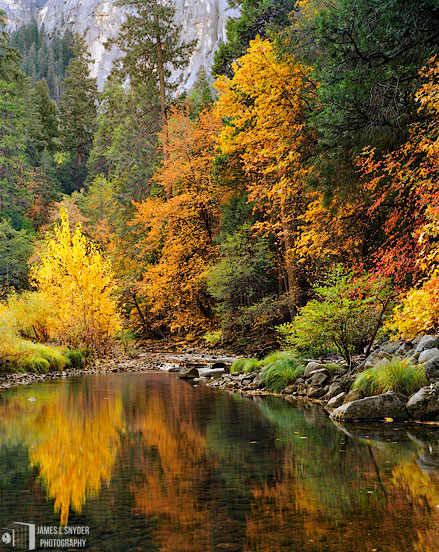 Autumn Reflections, Merced River