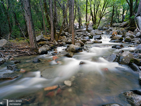 Bridalveil Creek, Late Spring