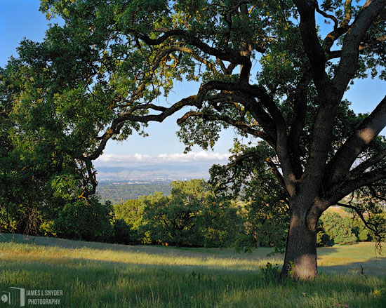 The Valley of Heart's Delight