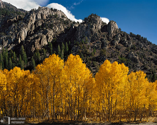 Golden Aspens and Aerie Crag