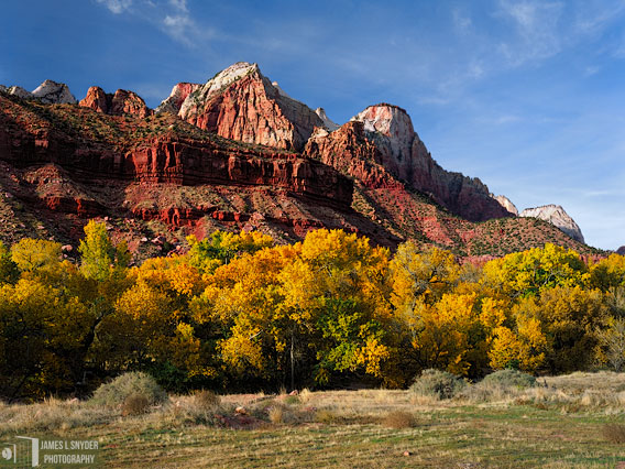 Zion Autumn Splendor