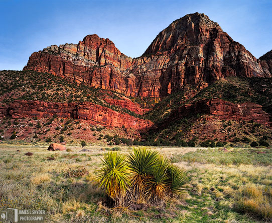Bridge Mountain and Yucca