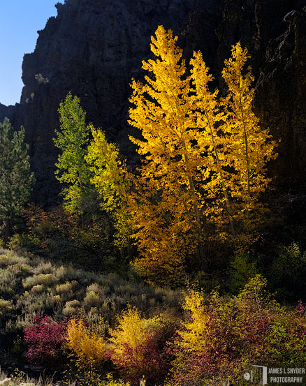 Cottonwood, Little Last Chance Canyon
