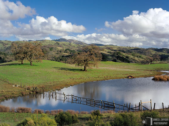 Seasonal Pond and Mt. Hamilton