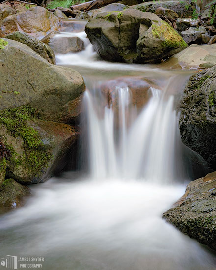 Delicate Fall, Swanson Creek