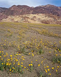 L001216t