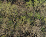 L001123t